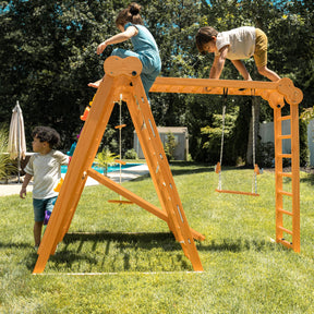 Chestnut - 8-in-1 Indoor Jungle Gym for Toddlers